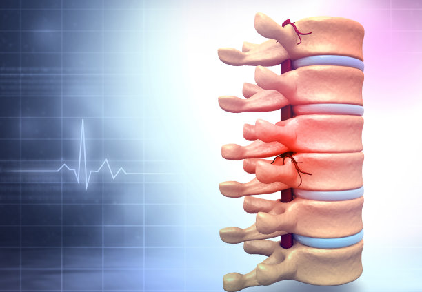 脊柱解剖学。医学背景图片下载