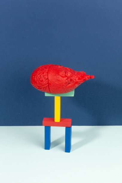 解剖心脏在彩色木块塔顶图片下载