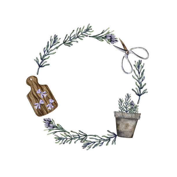 迷迭香花环图片下载