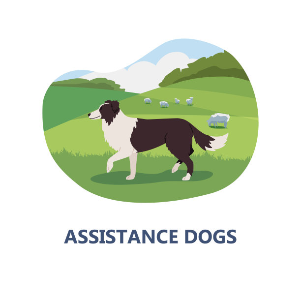 援助犬横幅或徽章模板，平面矢量插图隔离。图片下载