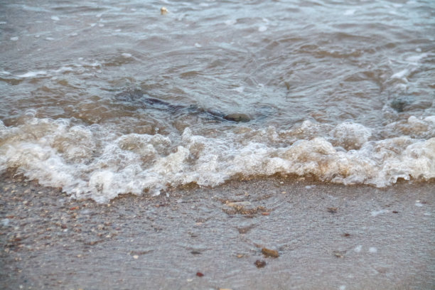 大海的波浪图片下载