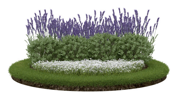 现实的草地讲台与花园。图片下载