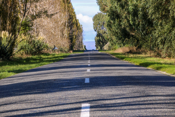 往下看一条乡间小路图片下载