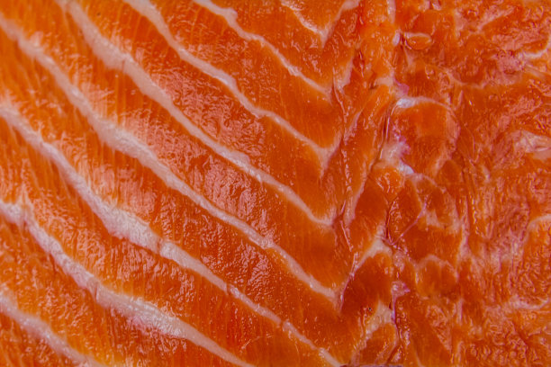 鲑鱼鱼片的纹理为背景图片下载