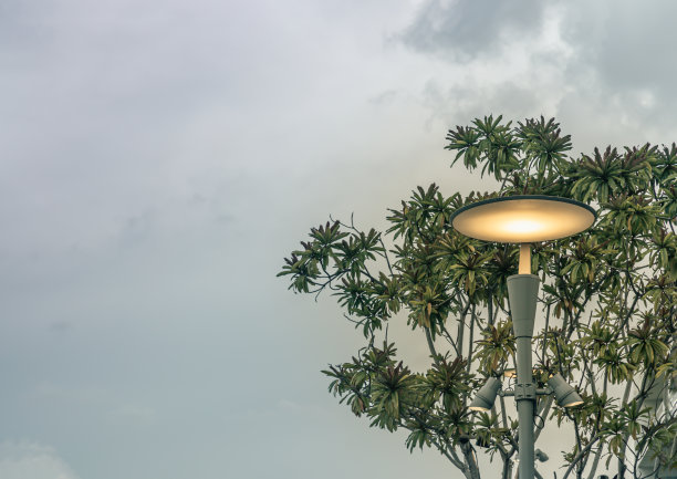 发光的路灯在金属杆对绿色灌木与蓝天的背景。图片下载