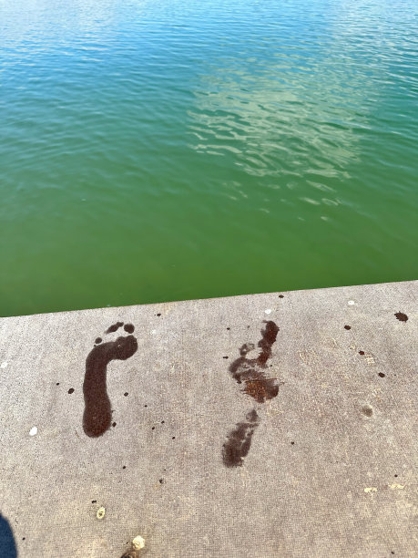 湖边甲板上的水脚印图片下载