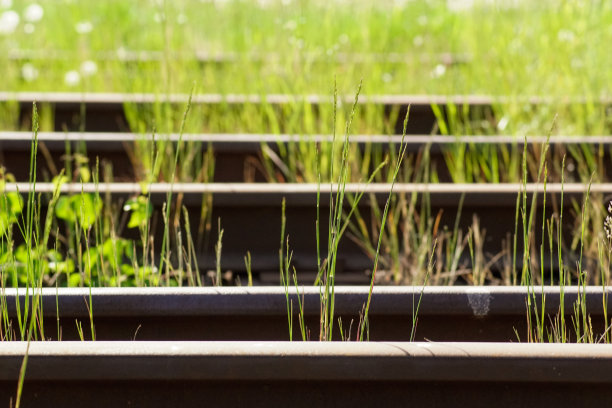 近距离拍摄铁路边的草图片下载