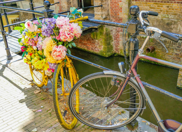 荷兰有花的自行车图片下载