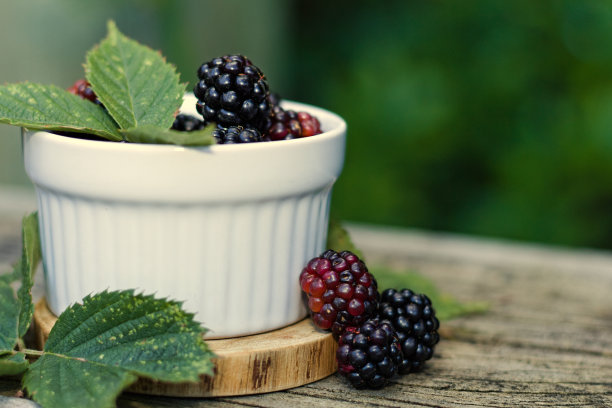 夏日夕阳下，露台上的一碗黑莓图片下载