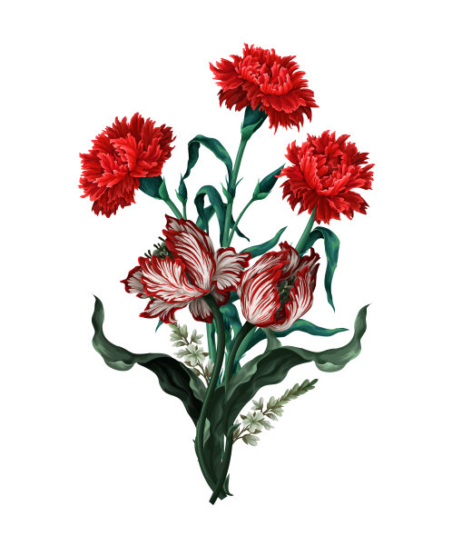 花束与康乃馨，郁金香和其他花卉。向量。图片下载