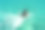 戴着头盔的男子在蓝色的海面上滑翔图片下载