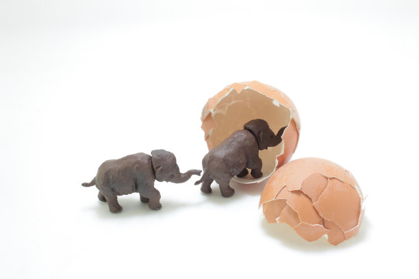 龙从破碎的蛋中孵化出来图片下载