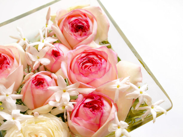 花瓶里的粉红玫瑰图片下载