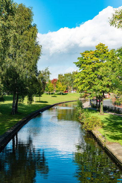 阳光明媚的日子里，曼彻斯特运河上的树叶。图片下载