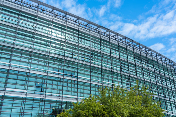 商业大厦和绿叶，曼彻斯特图片下载