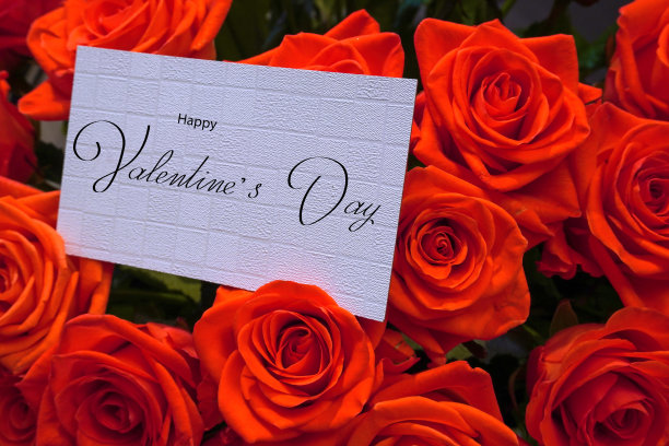 情人节快乐！鲜花名片banner在线贺卡图片下载