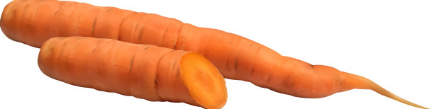 胡萝卜现实图片下载