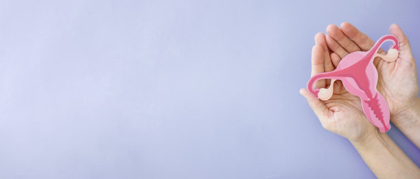 手握子宫，女性生殖系统，女性健康，多囊卵巢综合征，妇科和宫颈癌的概念图片下载