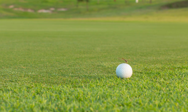 高尔夫球在球场上图片下载