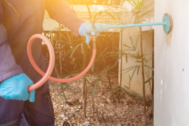 除虫人员在客户家中使用农药喷雾器，并尽可能多地寻找巢穴。害虫控制公司的一名员工正在喷洒杀虫剂来杀死昆虫。图片下载