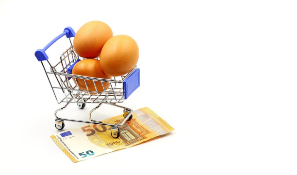 购物车里有一张50欧元纸币和3个鸡蛋。食品支出概念，家庭经济，通货膨胀图片下载