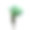 龙舌兰植物在白色背景上分离。图片下载