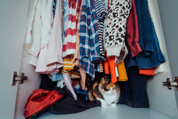 可爱的多色猫坐在敞开的壁橱里的衣服中间。毛茸茸的宠物躲起来了，在衣柜里有不同寻常的避难所。家养宠物动物、猫习性。有选择性的重点。图片下载