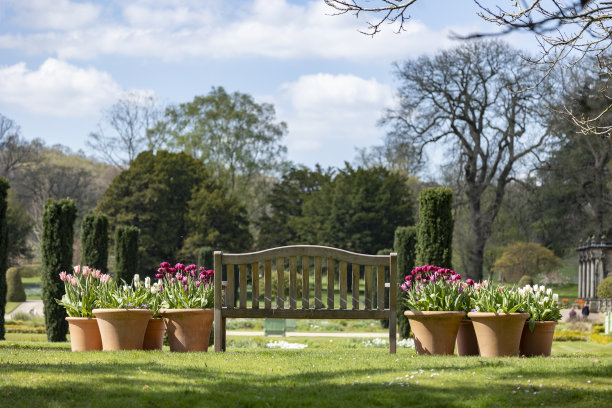 鲜艳的春花排成一排，春暖花开图片下载