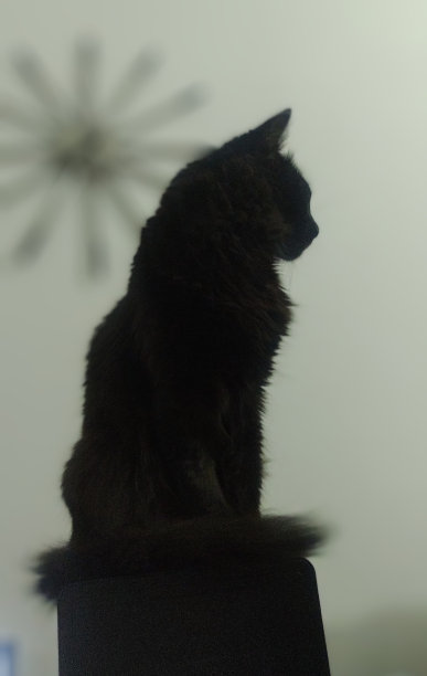 配置文件图片下载