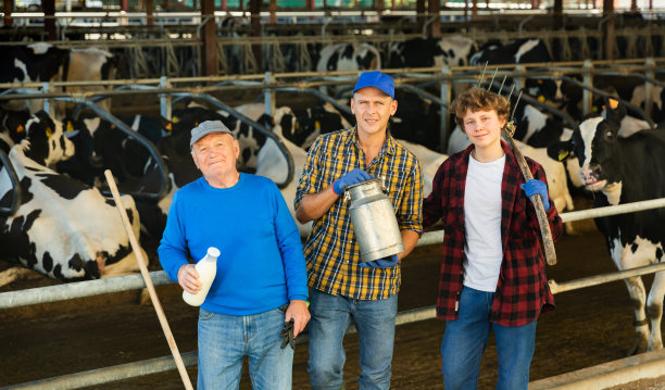 成功的上了年纪的奶牛场老板带着儿子和十几岁的孙子站在牛栏里和奶牛在一起图片下载