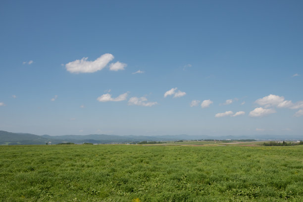 绿色的草地和蓝色的天空图片下载