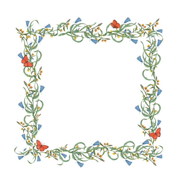 水彩生日方框与鲜花，蝴蝶隔离在白色背景。节日插图的问候，生日贺卡设计，邀请模板，装饰图片下载