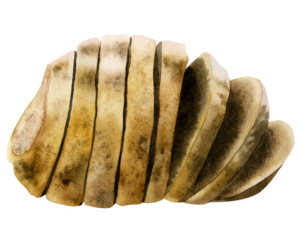 水彩切片面包孤立在白色背景。早餐祝酒，乡村食品，法国美食，休闲食品手绘插图，野餐图片下载