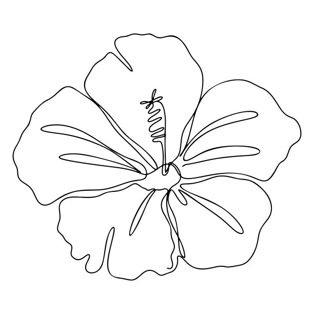 一线绘制，单一连续线素描花图片下载