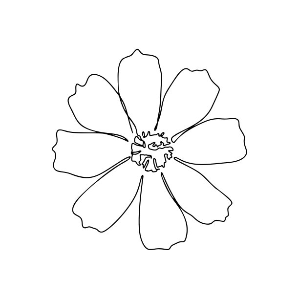 一线绘制，单一连续线素描花图片下载