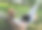 一位戴着帽子的年轻女子躺在夏日花园的吊床上使用笔记本电脑。夏天的生活方式图片下载
