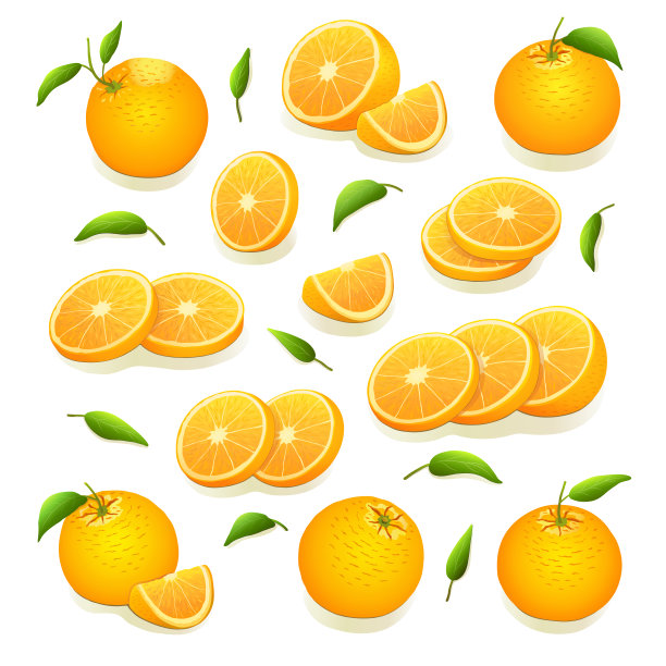 带叶子的橙子，橙片，橙环，橙和橙片，叶子在孤立的白色背景上。柑橘类水果。维生素和矿物质。一套橘子。矢量插图。图片下载