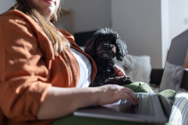 女人使用笔记本电脑的侧视图，而她可爱的小狗坐在她旁边，焦点是狗图片下载