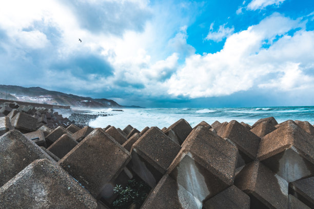 四足动物身上的波浪图片下载