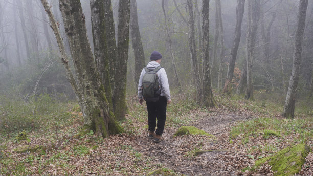 一个背着背包的人在迷雾中走在神秘的遗迹森林里。图片下载