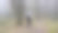 一个背着背包的人在迷雾中走在神秘的遗迹森林里。图片下载