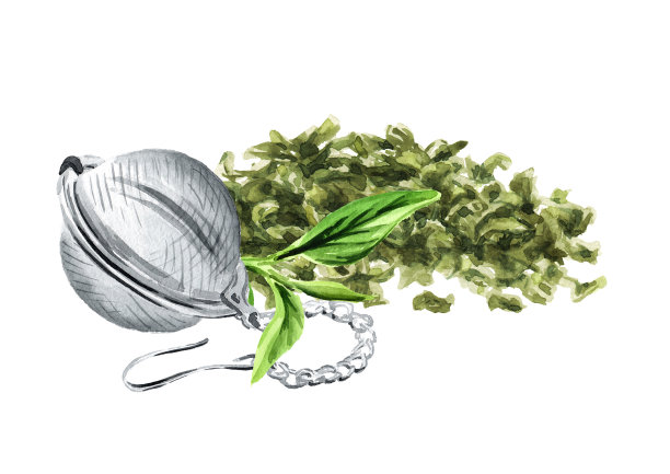 绿茶，鲜、干、煮筛。手绘水彩插图，孤立在白色背景上图片下载
