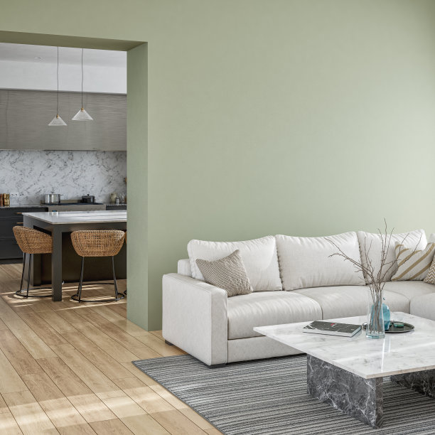 带沙发、装饰和壁炉的舒适现代豪华客厅侧视图图片下载