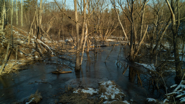 冬季森林里一条被雪覆盖的冰冻小溪的航拍照片图片下载