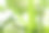 花园和院子里植物的库存照片图片下载