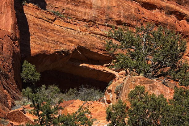 费峡谷拱门，位于亚利桑那州塞多纳的红岩区。前景中生长着绿杜松。图片下载