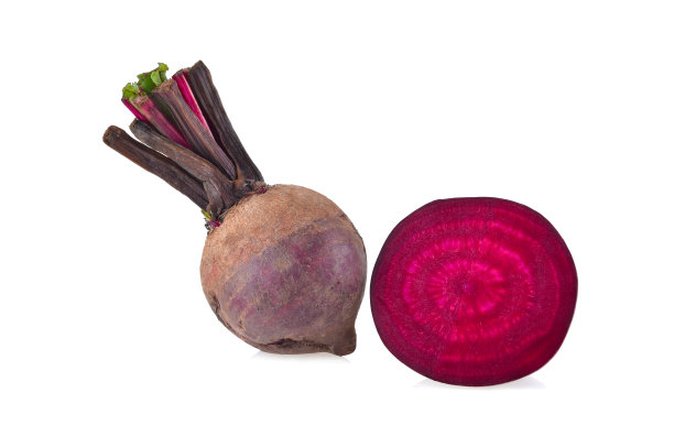 单根甜菜根和横截面在白色上分离图片下载