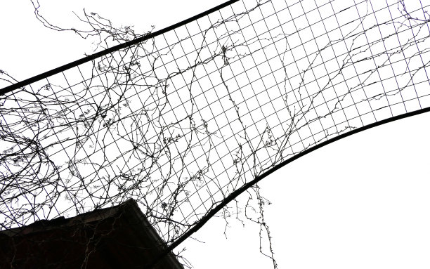 天空中黑白相间的铁丝网和栅栏图片下载