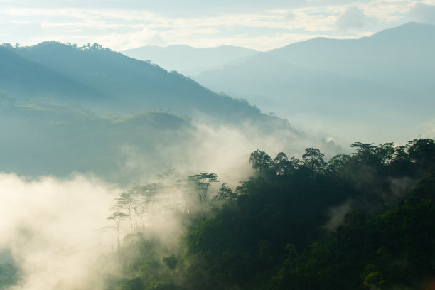 山与树在雾在布鲁岛马鲁古图片下载