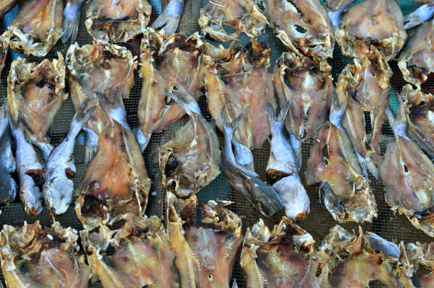 鱼干的式样图片下载